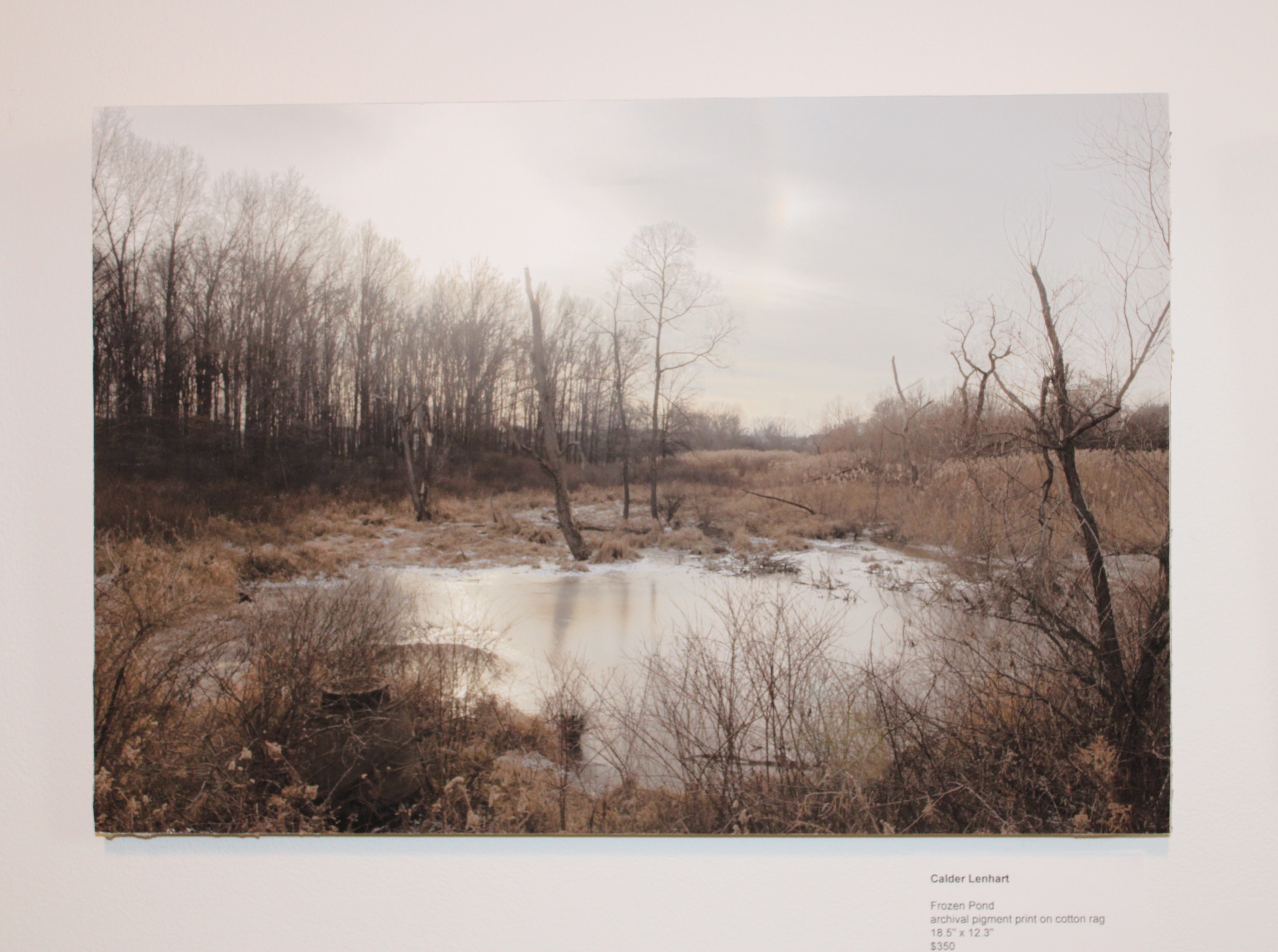 Frozen Pond